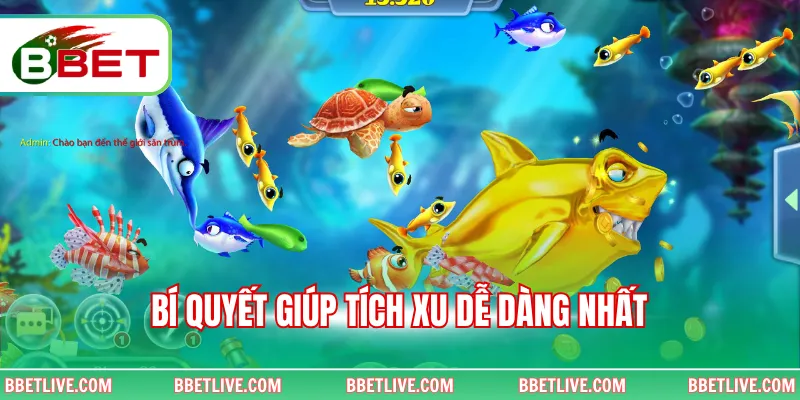 Bí quyết giúp tích xu dễ dàng nhất