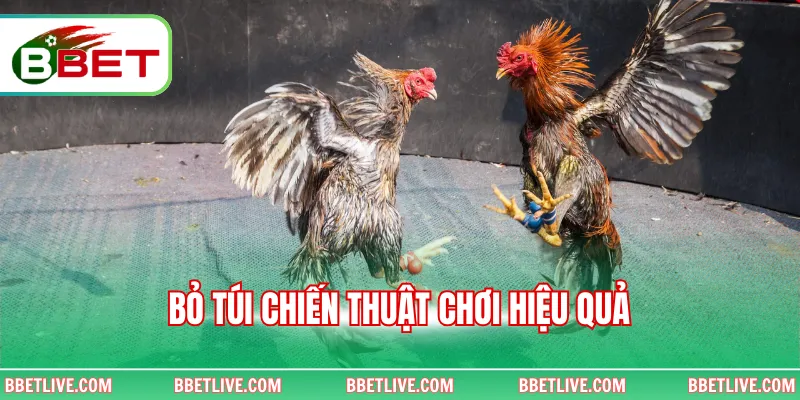 Bỏ túi chiến thuật chơi hiệu quả