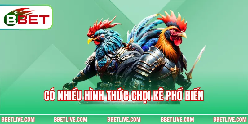 Có nhiều hình thức chọi kê phổ biến