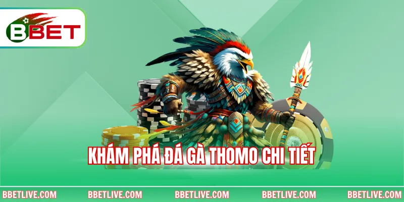 Khám phá đá gà Thomo chi tiết