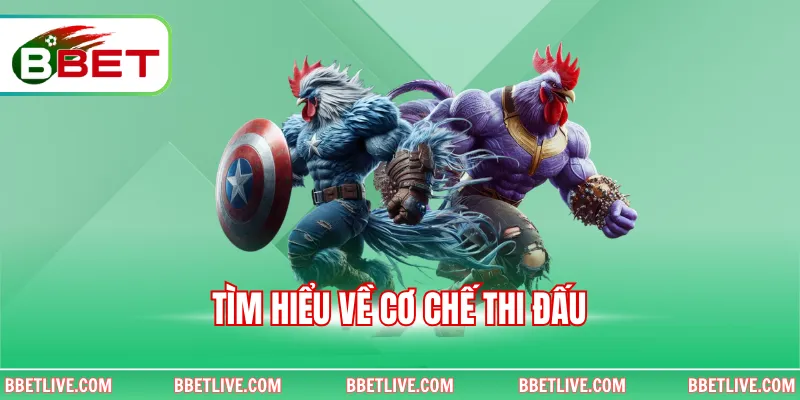 Tìm hiểu về cơ chế thi đấu